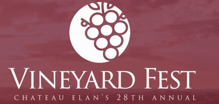 Vineyard Fest